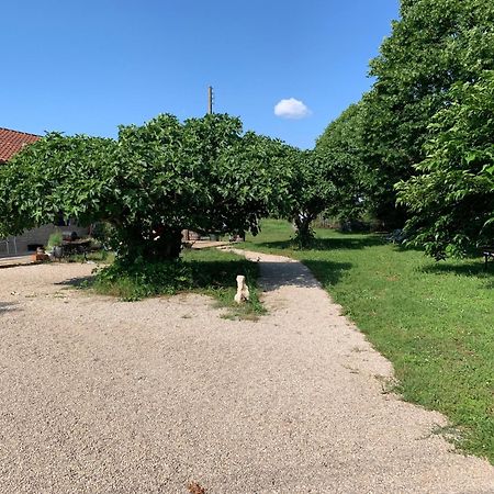 Gite La Longere Bleue Caylus Bagian luar foto
